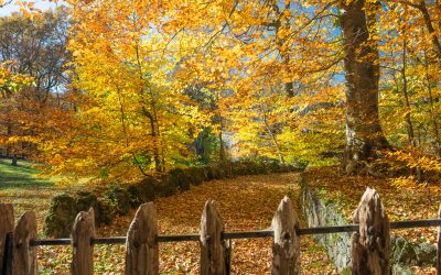 El Pla de Sostenibilitat Turística en destinacions de la Garrotxa inicia les primeres actuacions de millora al territori