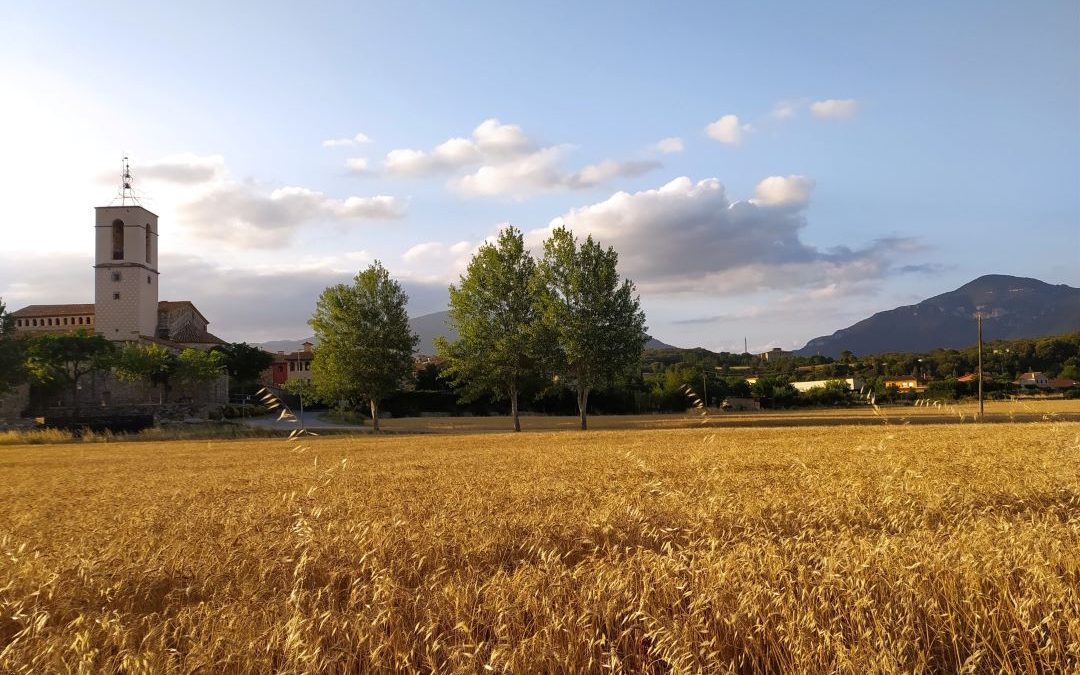 La salut centra la Taula Jove Comarcal del 2017