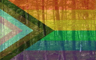 17 de maig, Dia internacional contra l’LGTBI-fòbia