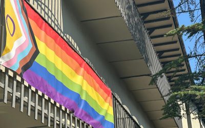 28 de juny, Dia Internacional de l’Orgull LGBTI