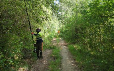 El Consell Comarcal executa obres per valor de 587.615 euros destinades a millorar la xarxa de camins de la Garrotxa
