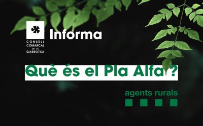 Què significa un nivell en el Pla Alfa?