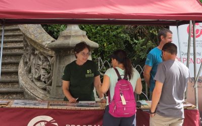 La prevenció, clau per a controlar la proliferació del mosquit tigre a la Garrotxa